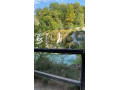 actif-pour-passif-small-0