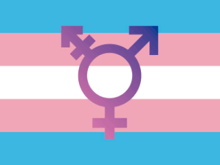 recherche-trans