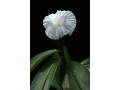 rencontres-plaisirs-en-exterieur-small-0