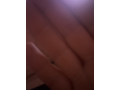 recherche-actif-small-0