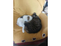 homme-cherche-homme-small-0
