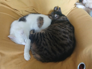 homme-cherche-homme