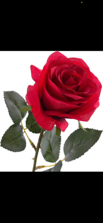 relation-pour-amical-voir-plus-big-0