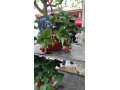 rebeu-actif-small-0