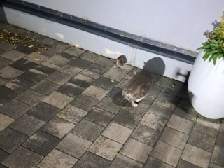 couple-pour-rencontre