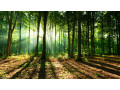 cherche-nouveautes-par-curiosite-small-0