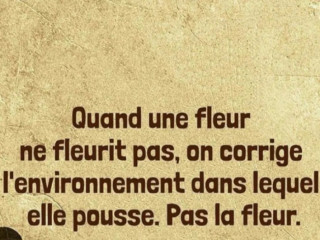 recherche-femme-rousse