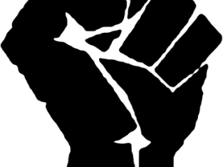 cherche-1er-experience-fist