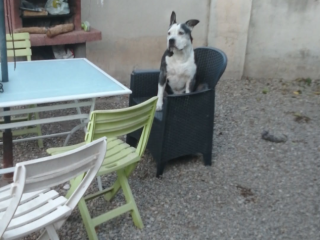 gardiennage-securite