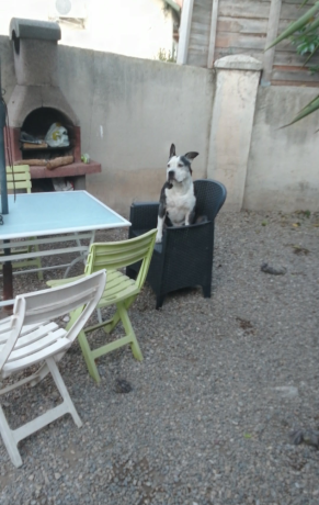 gardiennage-securite-big-0