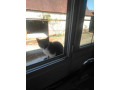 mec-bi-pour-mec-ou-trav-sur-abbeville-small-0