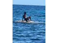 fesses-vierges-small-0