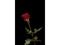 homme-serieux-cherche-une-femme-pour-fellation-nature-complete-small-0