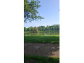 actif-passif-suceur-small-0