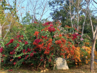 suce-uniquement-pour-ma-premiere-fois
