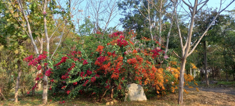 suce-uniquement-pour-ma-premiere-fois-big-0