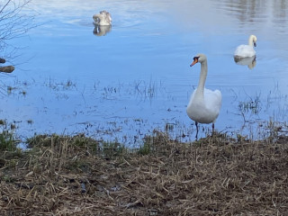 cuni-pour-votre-plaisir-mesdames