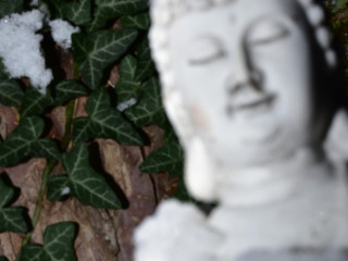 la-poitrine-feminine-une-grande-passion-pour-moi