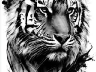 domina-cherche-soumis-soumise-esclave