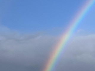 cherche-hetero-a-sucer