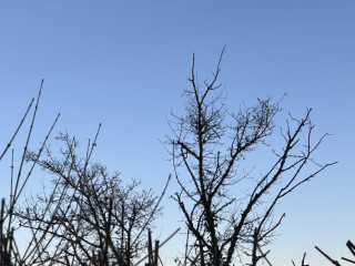 bon-suceur-cherche-queue