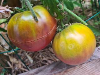 moment-de-detente-sexuelle