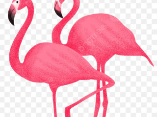 couple-recherche-homme-pour-trio-non-bi