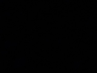 metis-tbm-cherche-une-bonne-chatte-sur-amiens