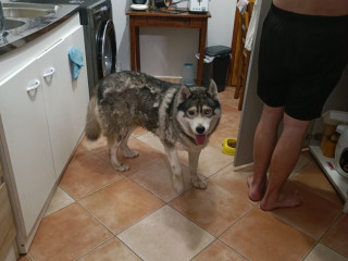 pour-mme-65-ans-tu-recois-region-gisors