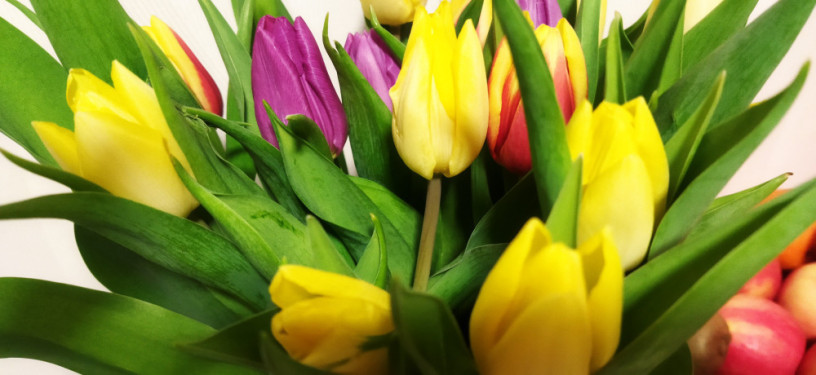 recherche-aganos-big-0