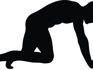 lope-a-mettre-a-dispo