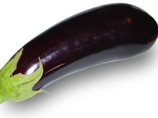 je-recherche-un-h-actif