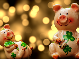 cherche-femme-ouverte-desprit