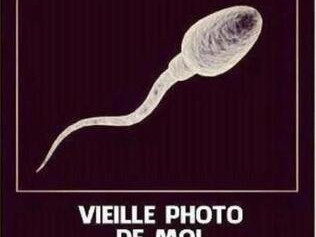 suce-belle-queue-lisse-et-juteuse