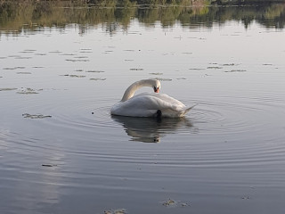 besoins-daides-a-domicile