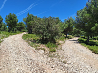 randonnee-plusieurs-jours-au-printemps-entre-drome-provencale-et-luberon