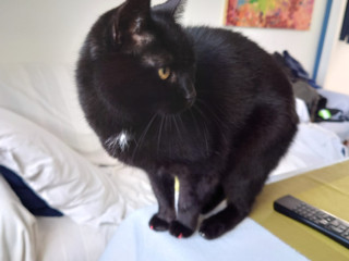 recherche-homme-de-menage