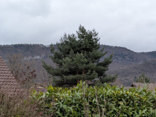 ancien-wannonce-julie