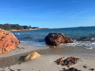 rech-mec-sportif-ou-muscle-passif-pour-regulier