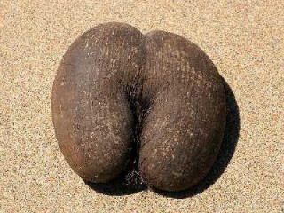 passif-avec-peu-de-tabous