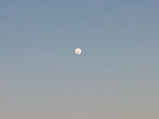 pour-femme-seulement