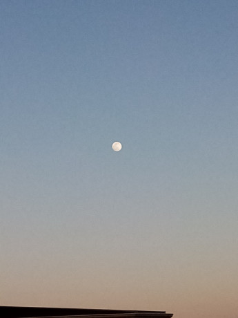 pour-femme-seulement-big-0