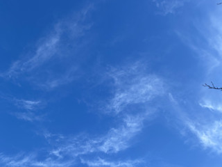 discretion-et-plaisir