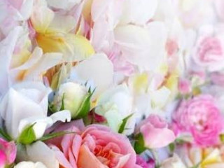 je-cherche-a-me-faire-sucer-sur-bordeaux-et-ouvert-a-plus