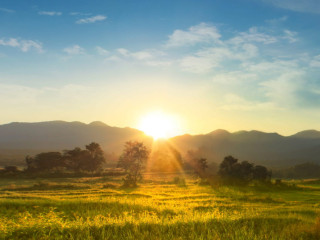 jeune-mec-pour-moments-chauds