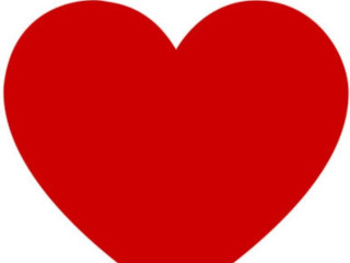 recherche-homme-actif