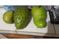 senior-pour-africain-coquin-small-0