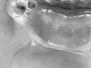 fellation-ejac-facial