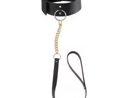 h-bi-passif-soumis-cherche-son-maitre