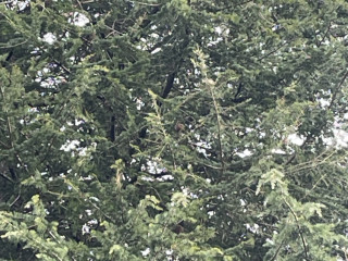 h-bm-rech-douce-bouche